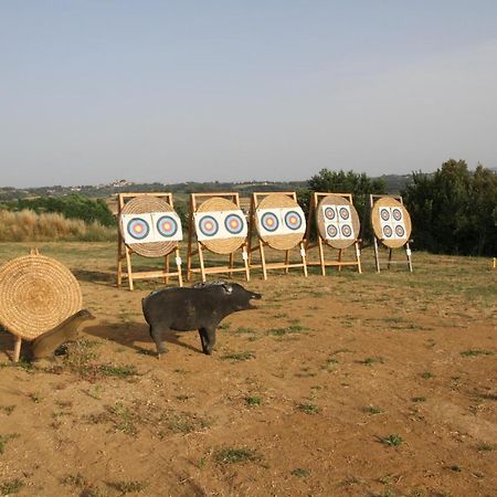 Agriturismo San Martino ポンサッコ エクステリア 写真